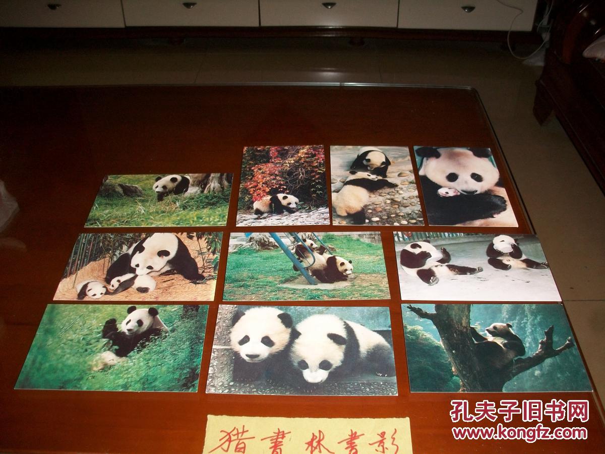 明信片:我爱大熊猫(一套十枚)