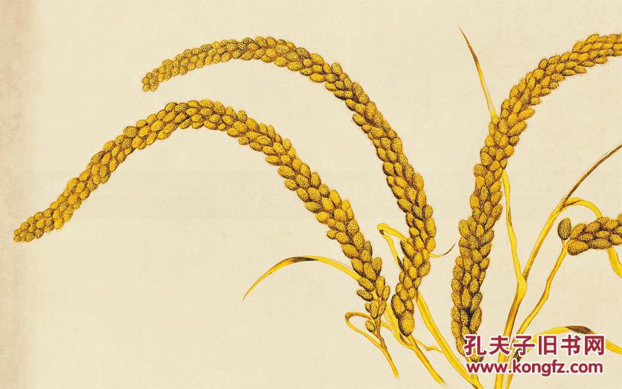 清郎世宁瑞谷图