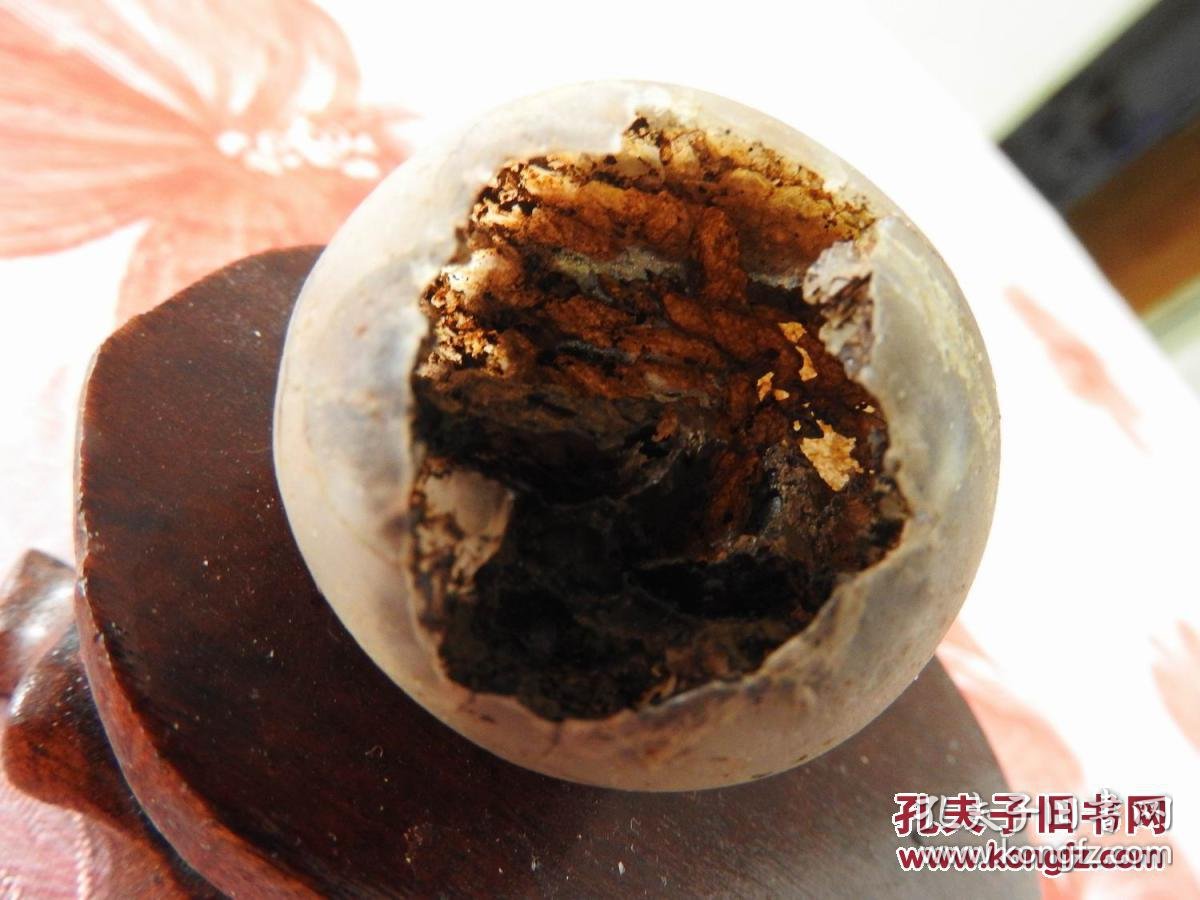 gw175,重大发现:孔子鸟蛋化石. 拍品编号:23811006
