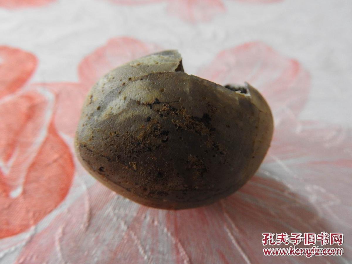 gw175,重大发现:孔子鸟蛋化石. 拍品编号:23811006