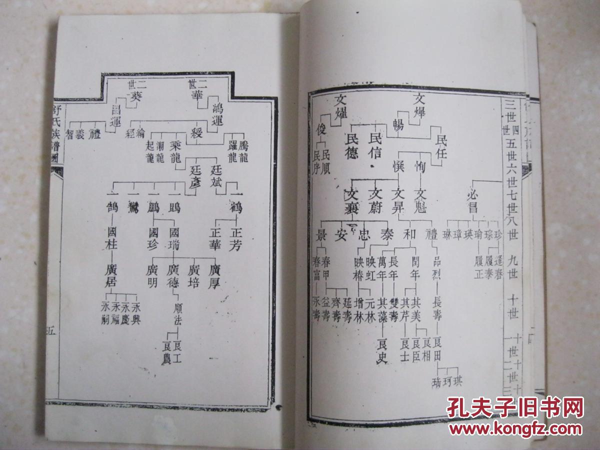 鹤城舒氏族谱(光绪癸卯春刊于京师.