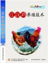 江汉鸡养殖技术视频U盘（林下生态放养江汉鸡）书籍林地生态养鸡实用技术