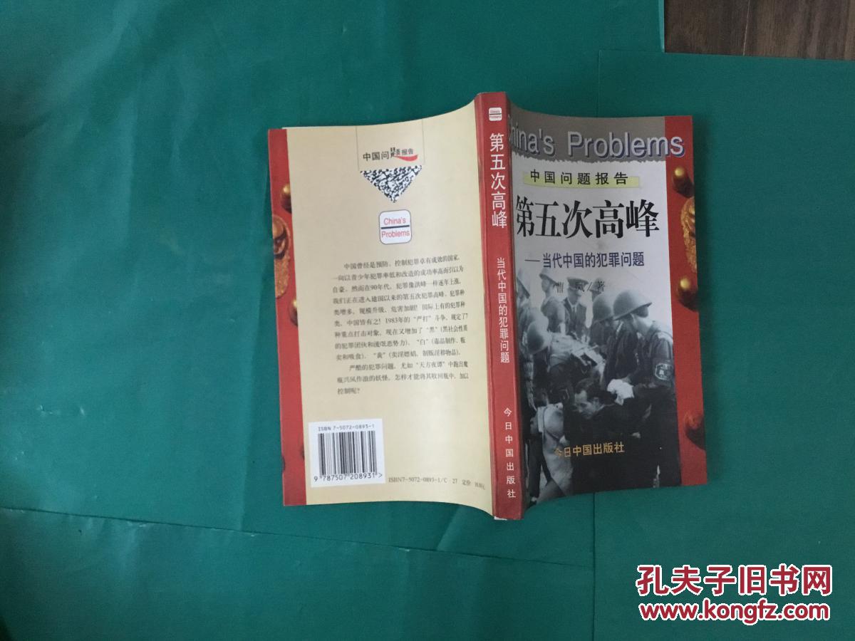 第五次高峰:当代中国的犯罪问题