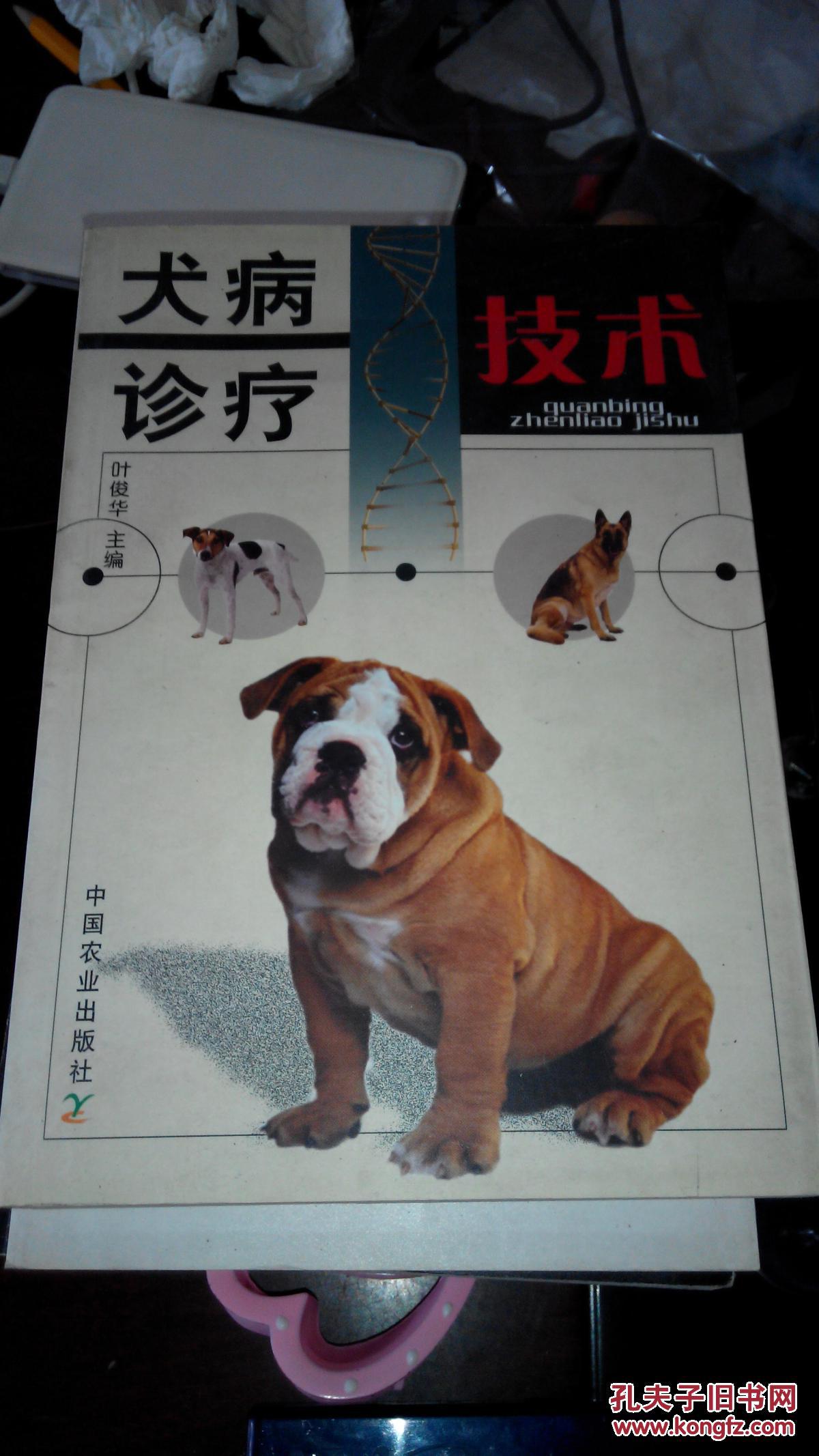 犬病诊疗技术