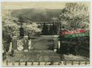 民国日军步兵第五十联队留守队营地老照片，樱花盛开，15.5X11.2厘米，泛银