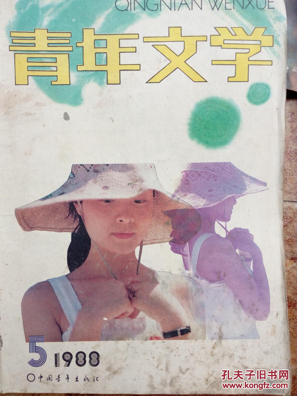 青年文学19821990822383134584794011128523678866810872988589901211