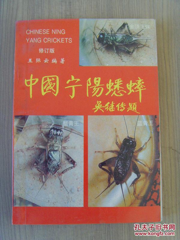 《中国宁阳蟋蟀》 王际云