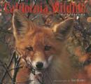 California Wildlife: Impressions