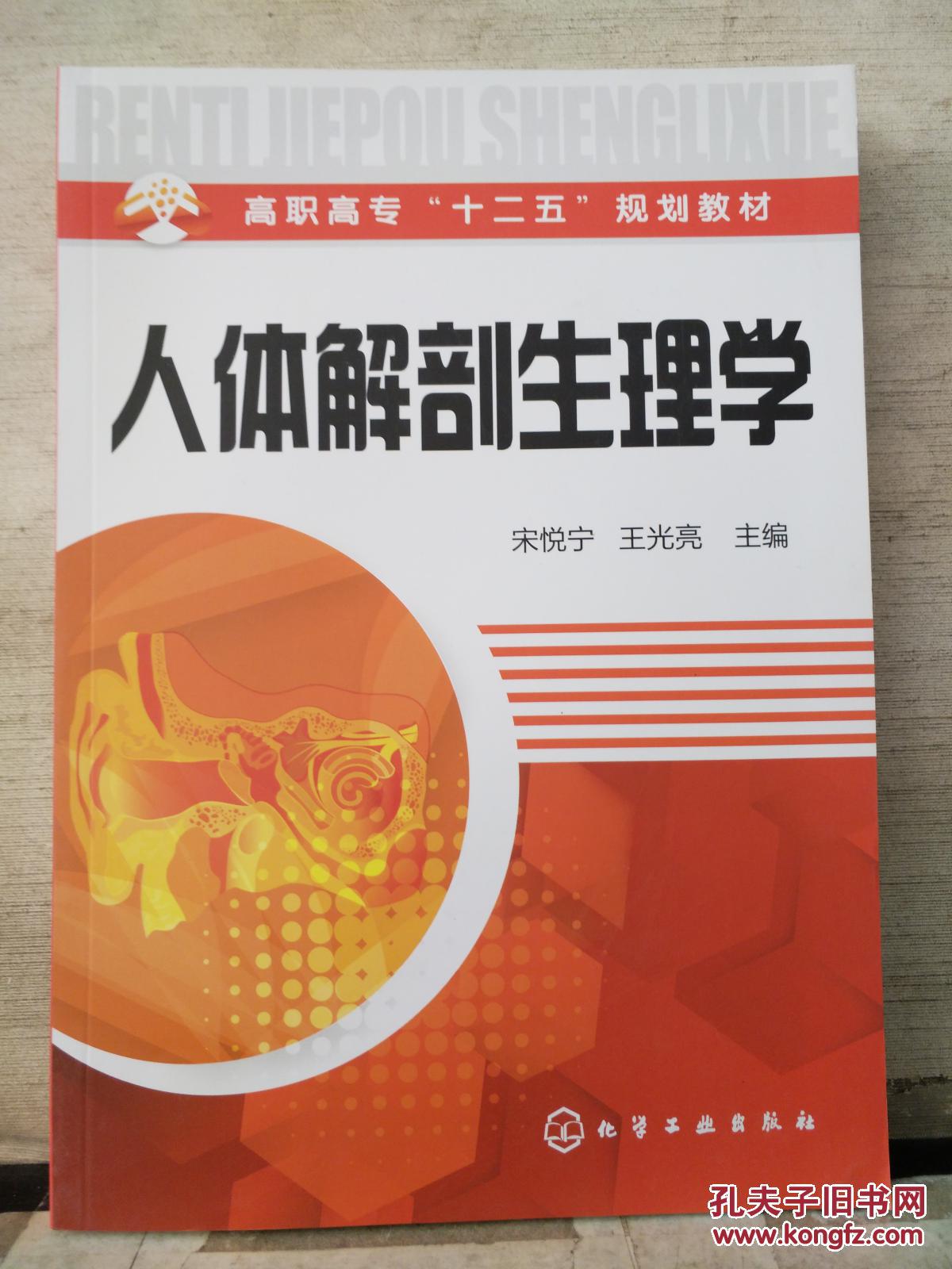 人体解剖生理学
