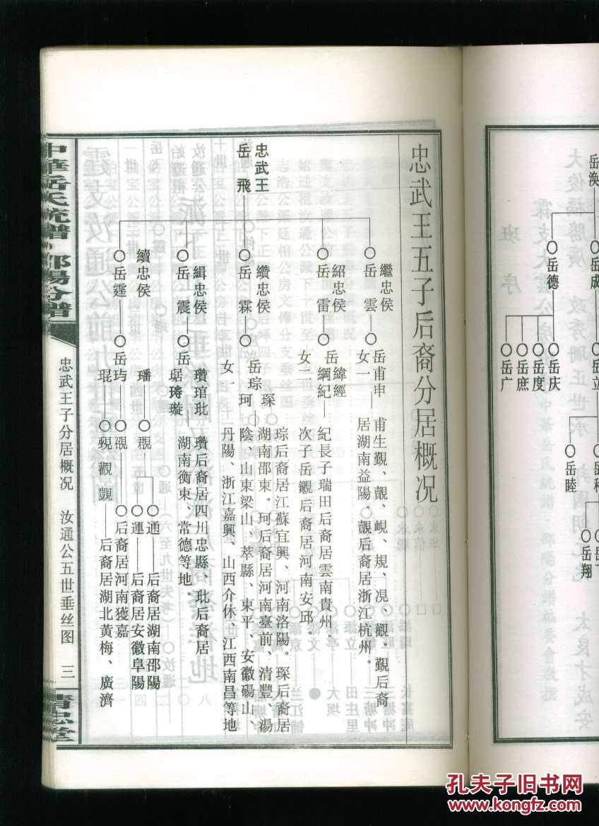 中华岳氏统谱邵阳分谱卷二十(16开线装本)(邵阳岳氏族谱)