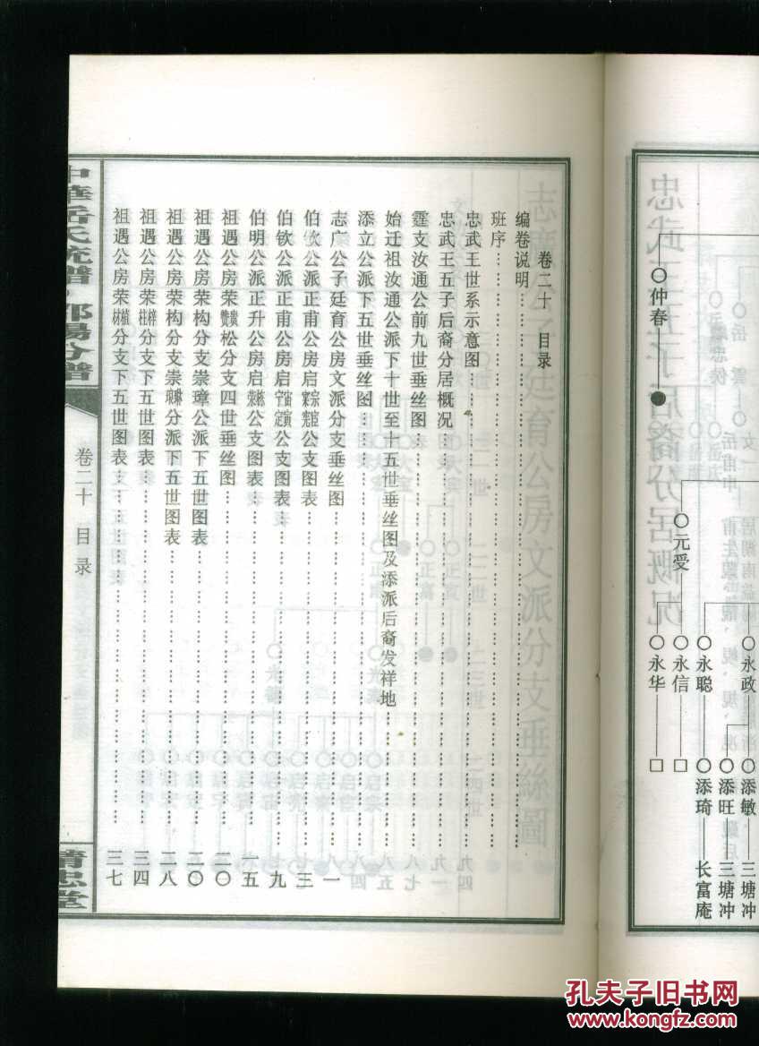 中华岳氏统谱邵阳分谱卷二十(16开线装本)(邵阳岳氏族谱)