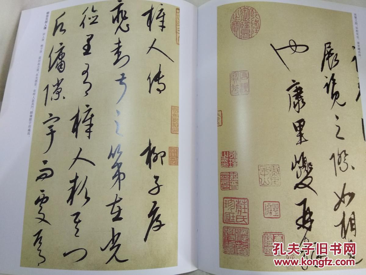 历代名家书法经典康里巎巎王冬梅主编中国书店