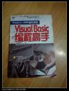 Visual Basic 编程高手