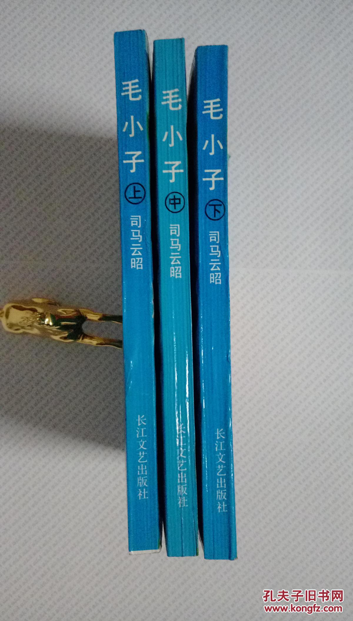 毛小子(全三册)