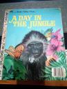 A DAY IN THE JUNGLE