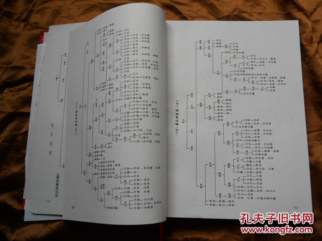 2007年,硬精装,,家谱,族谱,重庆云阳,向氏族谱,更多内容自己看(谢绝收