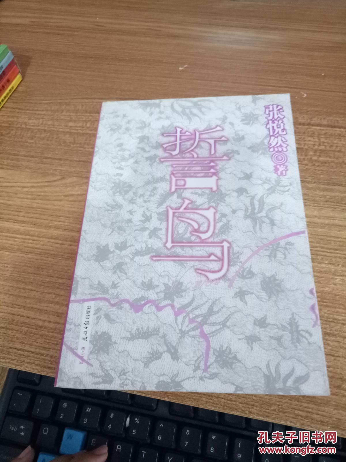 誓鸟:张悦然新书