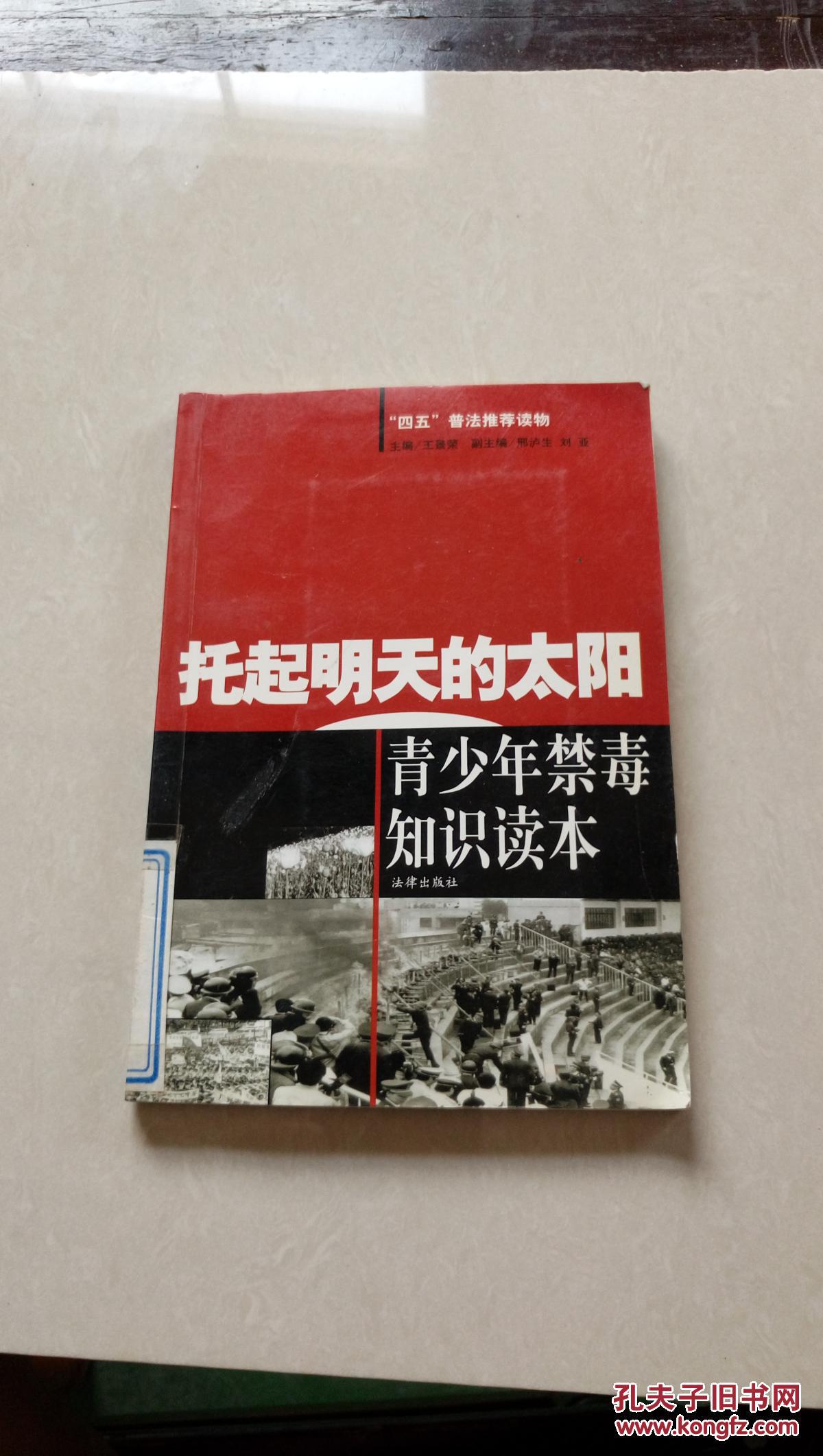 托起明天的太阳:青少年禁毒知识读本