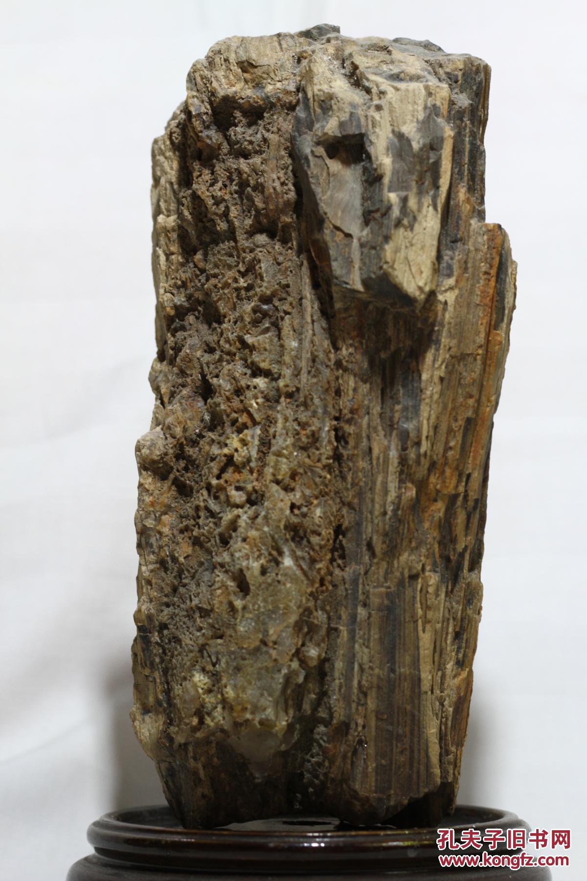 亿万年形成 木变石珍品二《岳》(议价交易 谢谢理解)