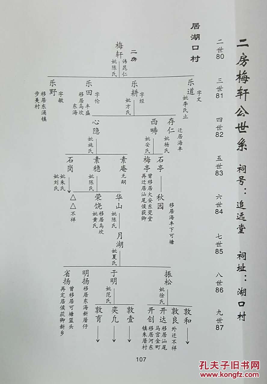 蔡氏族谱一陆丰市夏灶续修族谱