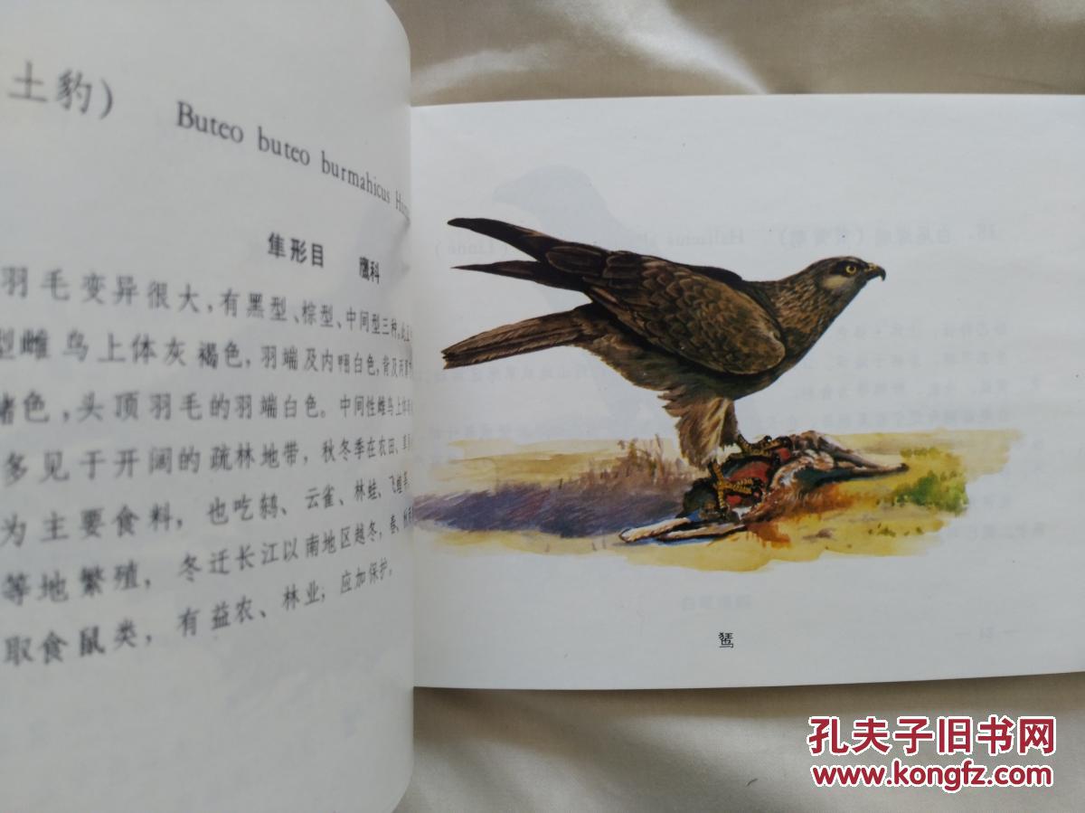 辽宁主要经济鸟类图册