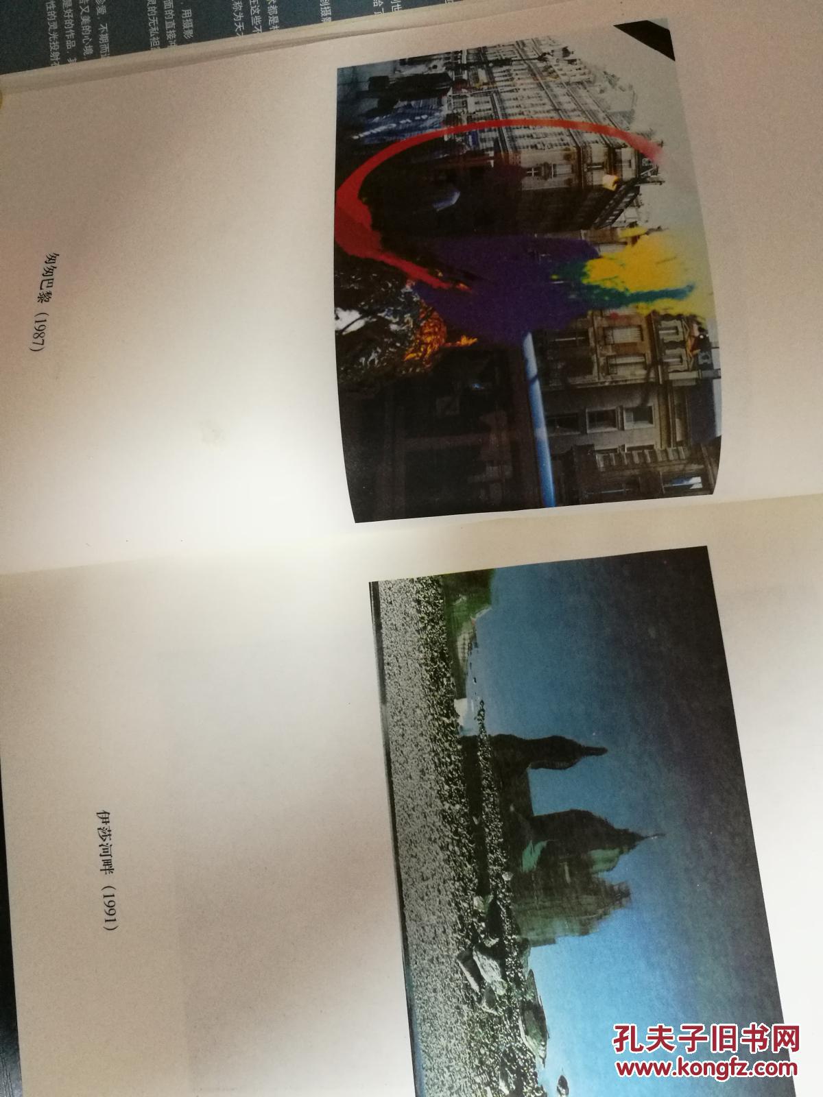 旅德艺术家王小慧我的视觉日记(珍藏版)