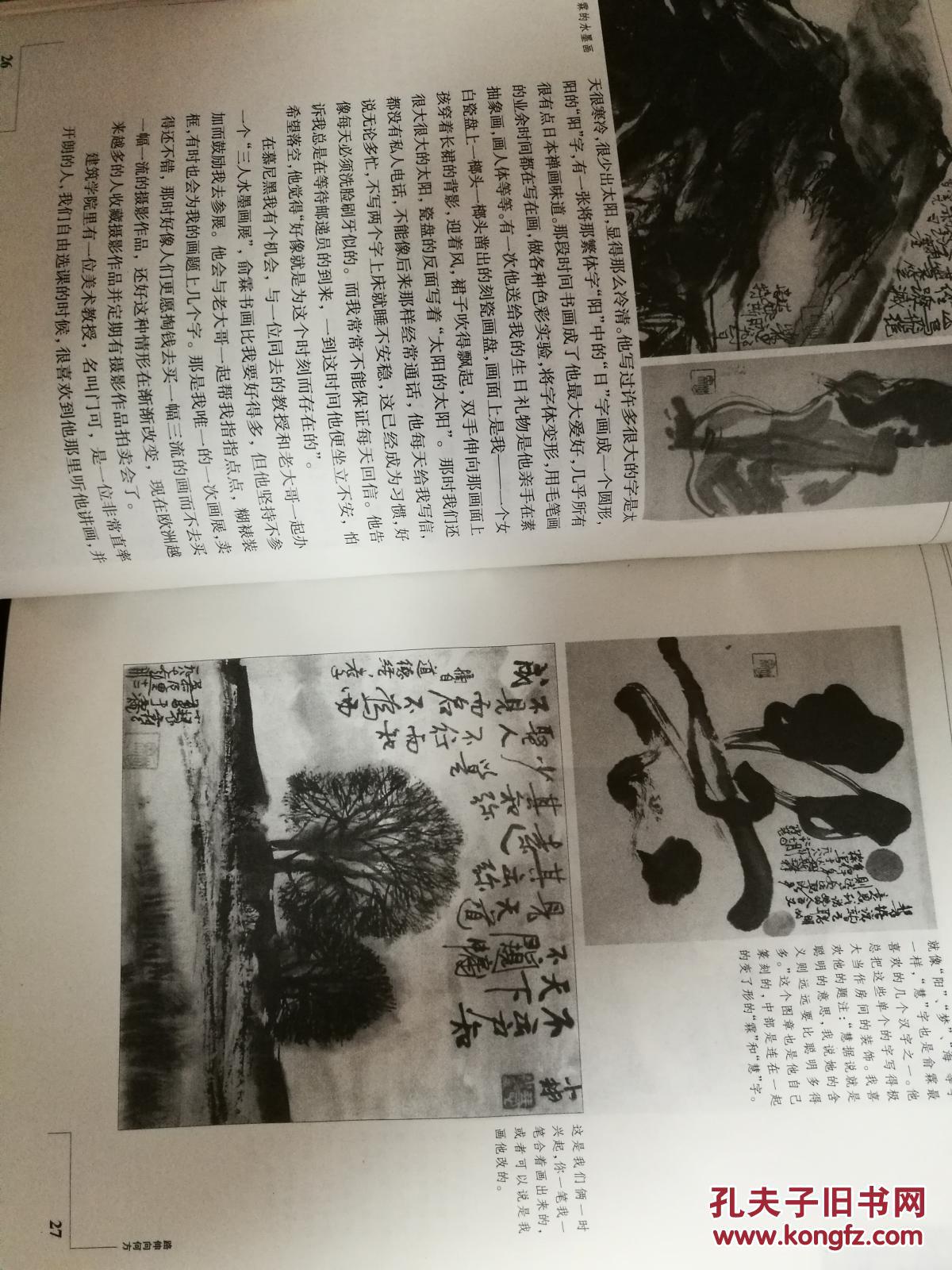 旅德艺术家王小慧我的视觉日记(珍藏版)