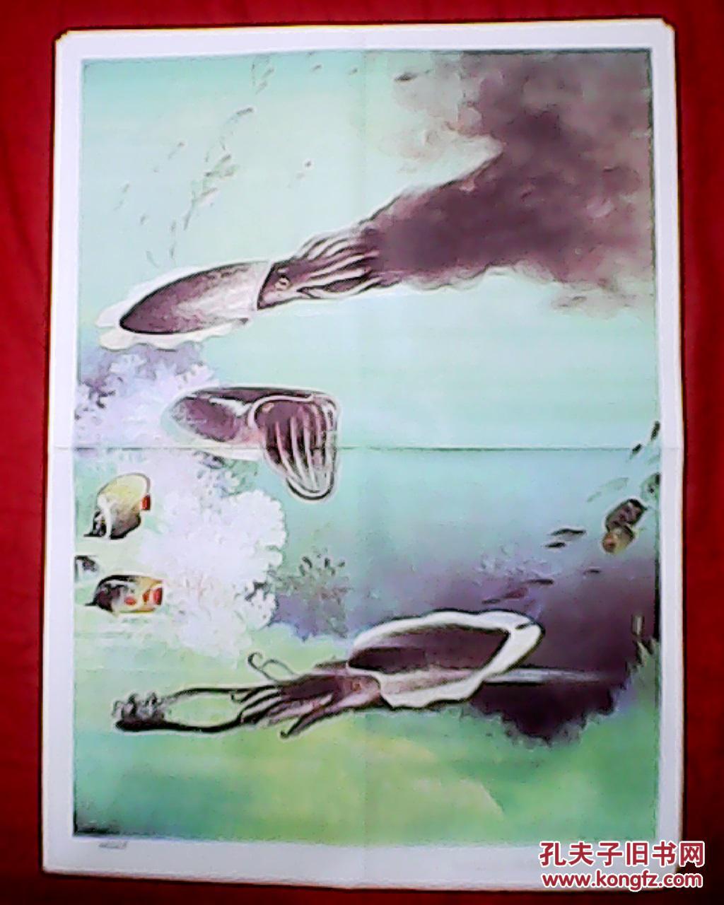 老画家孟咸昌绘的初中生物教学挂图:乌贼的生态(此为对开挂图,宽53