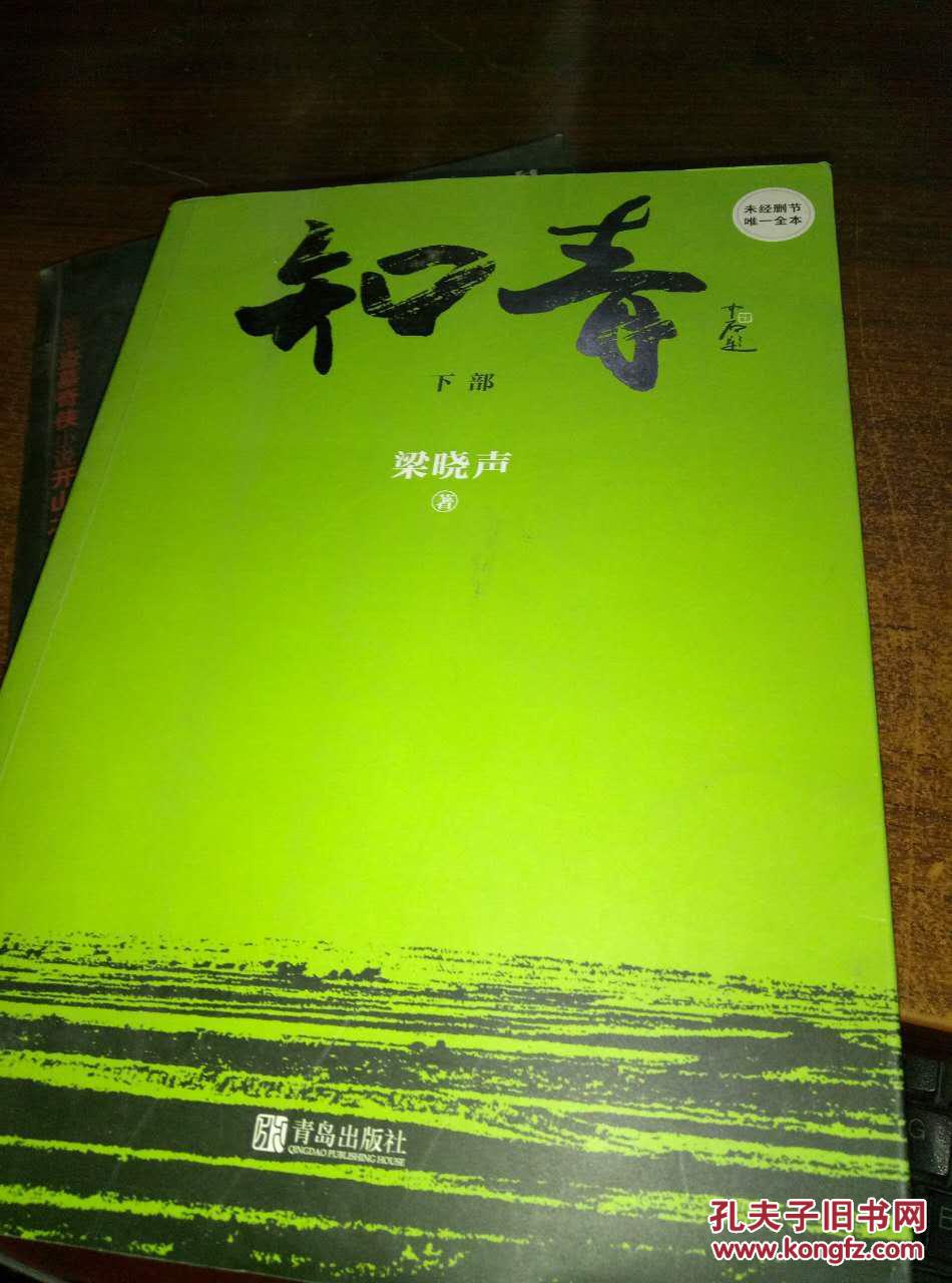 知青(下部)_梁晓声著_孔夫子旧书网