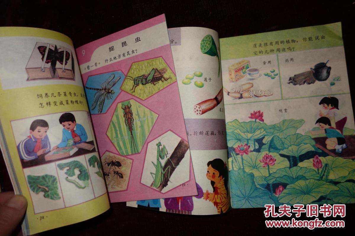 八十年代,小学课本试用本,《自然》,二年级上,下册