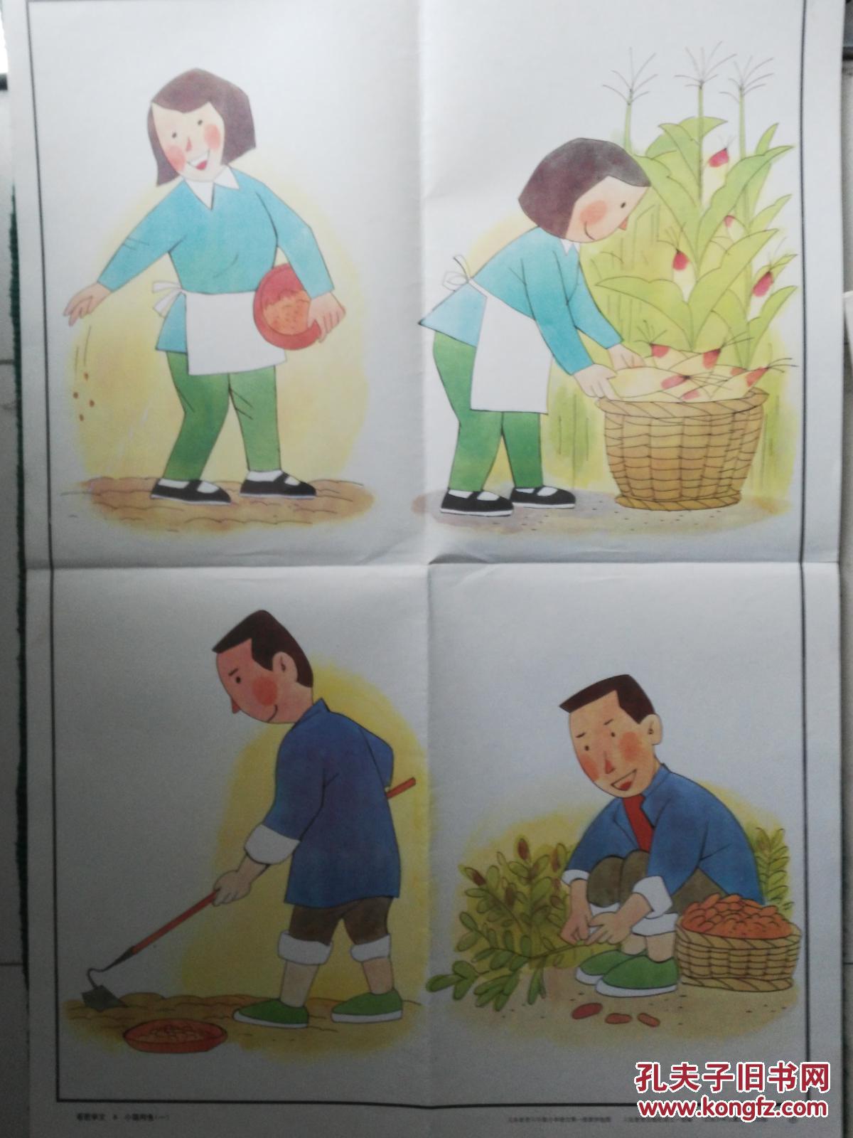 小学课本语文第一册教学挂图看图学文8小猫种鱼一二