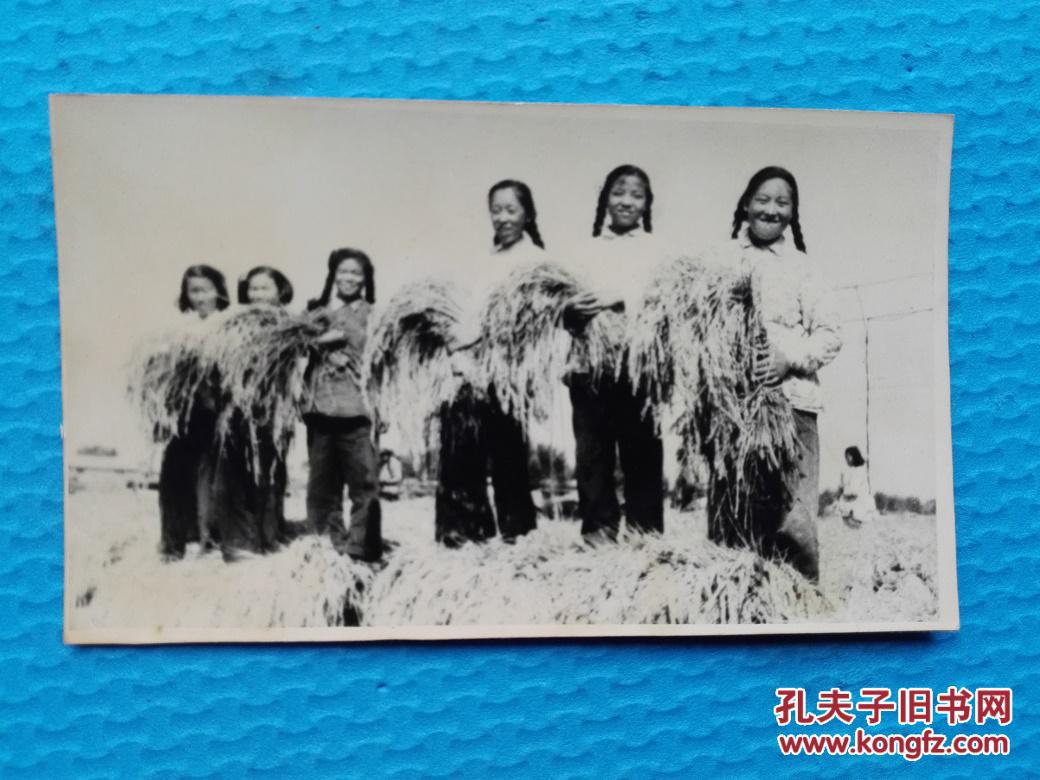 老照片《1958年河北某人民公社亩产稻谷152533斤》这种浮夸风令人震惊