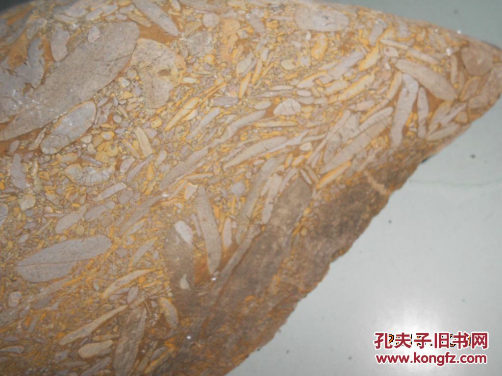 竹叶石(鱼子石)原石一块未经任何处理大约20斤可议价