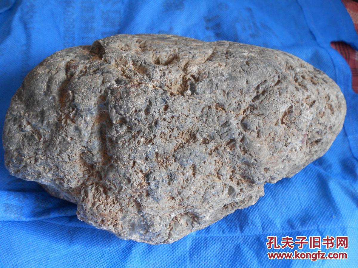 水冲硅化木树化玉原石约56公斤未经任何处理