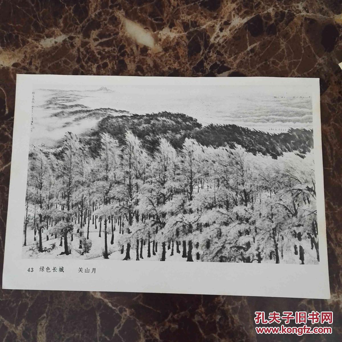 绿色长城关山月