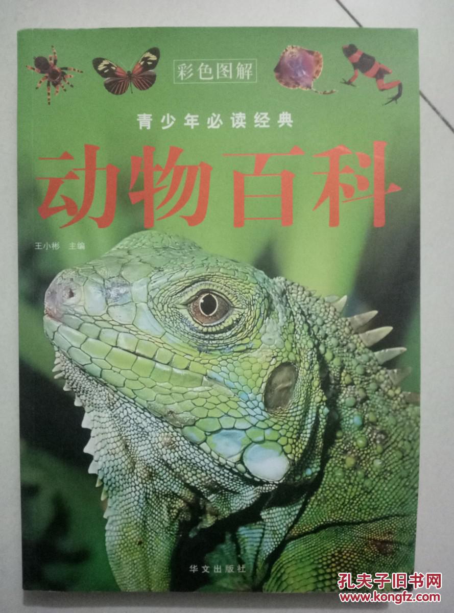 动物百科(青少年必读经典彩色图解)