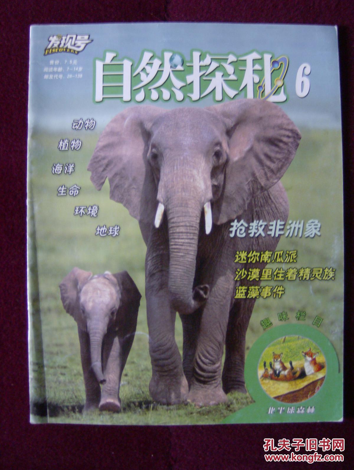 发现号 自然探秘6——抢救非洲象