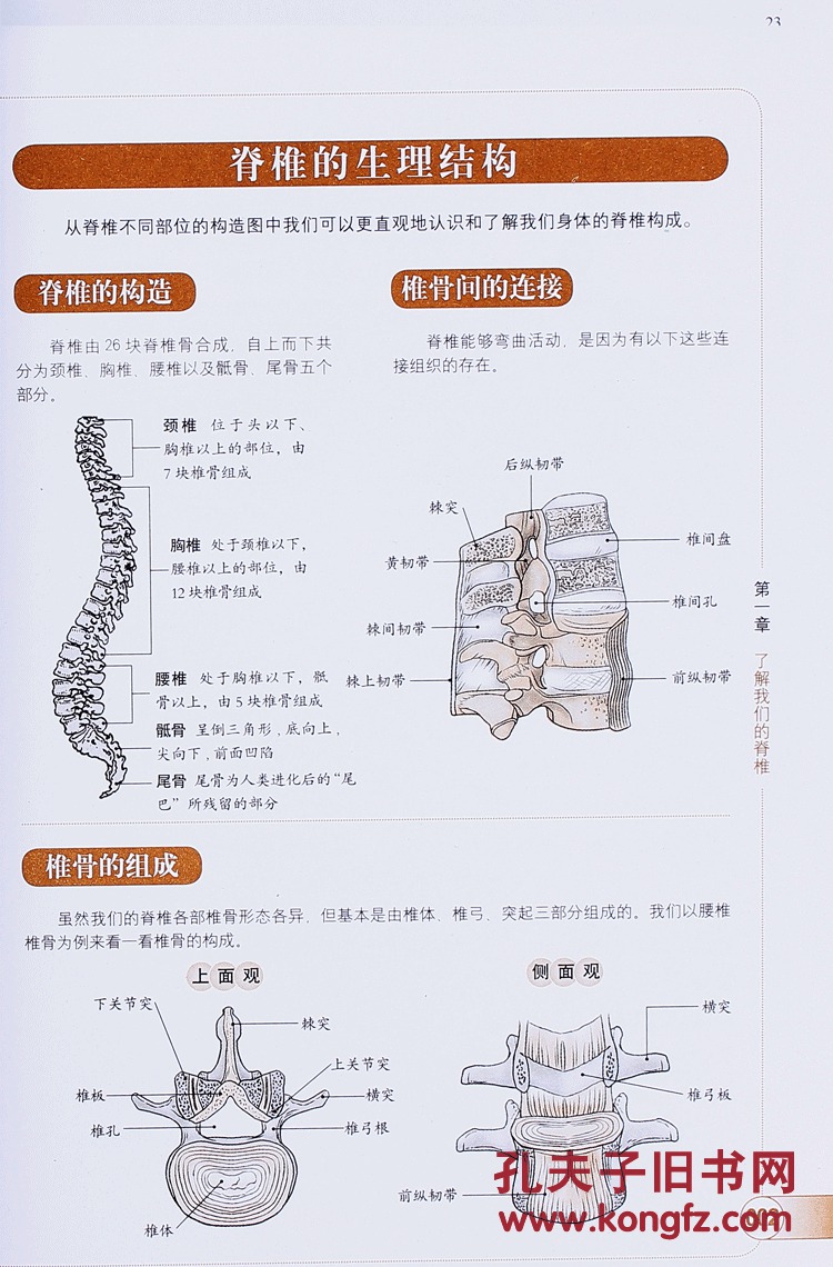 颈椎病有什么土方法可以冶_治疗颈椎病的土方法_1颈椎病一个土方法就好