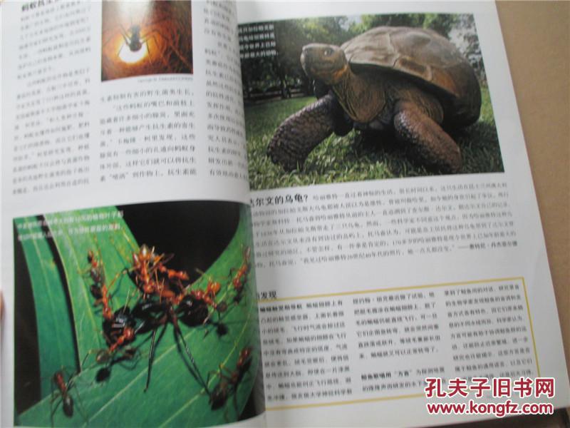 华夏人文地理2006年五月号总第47期(无赠图)犹大福音_华夏地理杂志社_