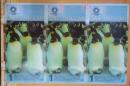 1美元2011年南极洲企鹅塑料纪念钞三连体 纪念钞珍藏册