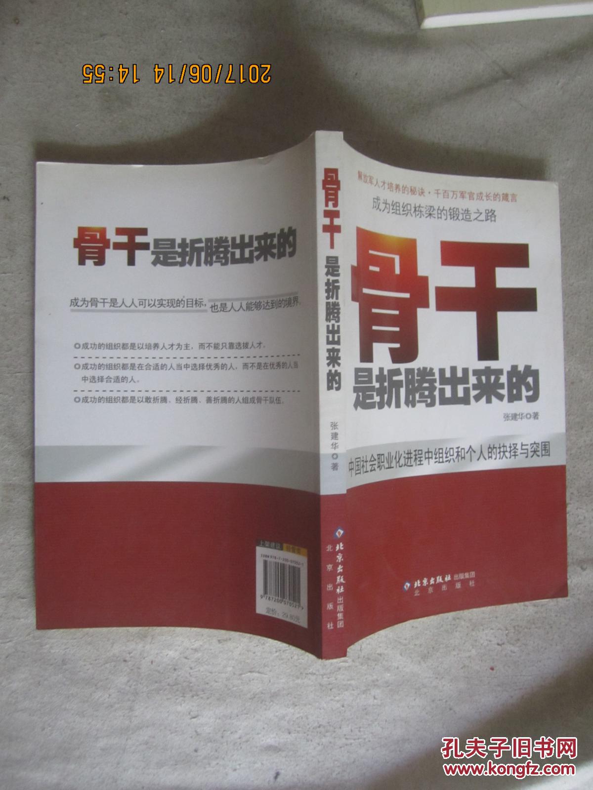 骨干是折腾出来的(中国社会职业化进程中组织和个人的抉择与突围)【小