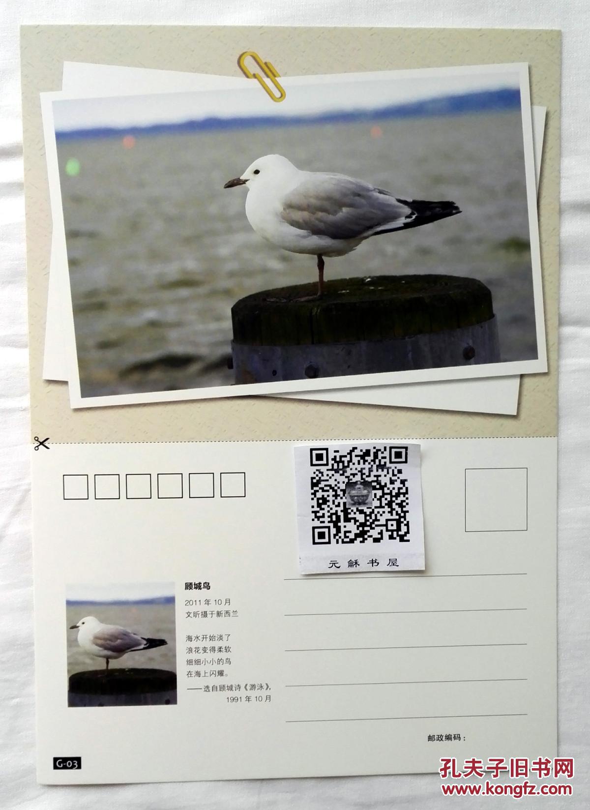中故事的现实解析赠送四张精美独特的明信片封面图为作者摄名顾城鸟