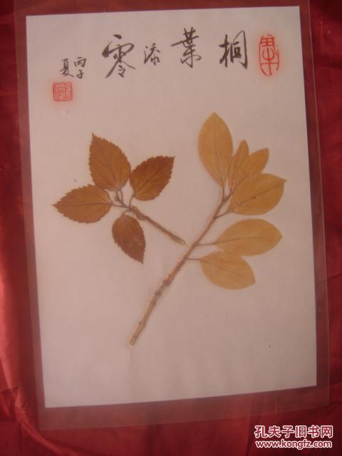 塑封树叶画:桐叶添零