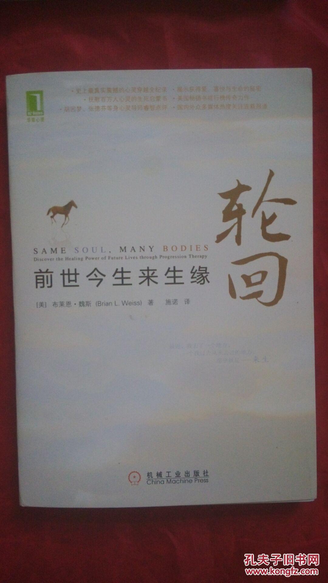 轮回: 前世今生来生缘 : discover the healing power of future