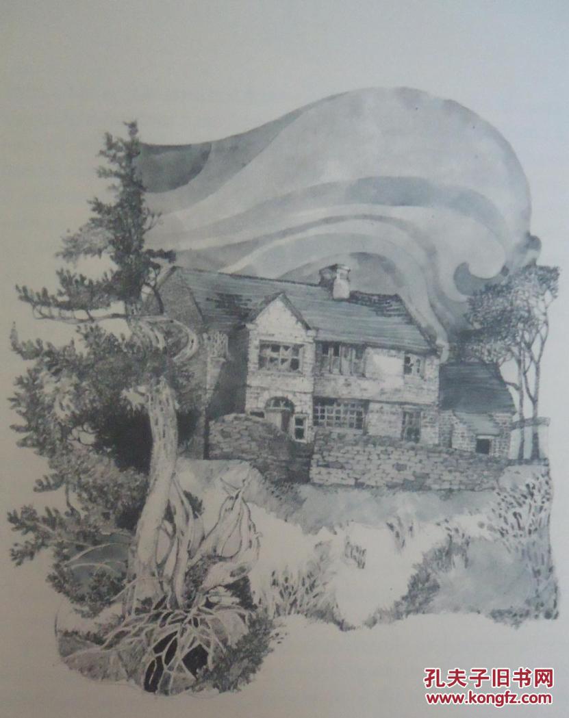 bronte _ wuthering heights - 艾米莉勃朗特《呼啸山庄》全羊皮限量