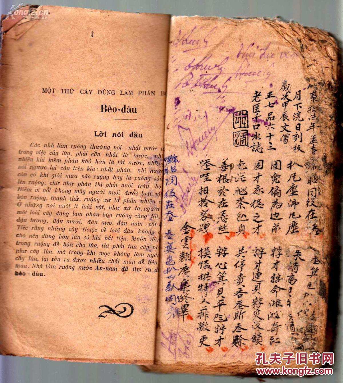 越南文学珍本越南杰出诗文阮攸脍炙人口的文学名著金云翘全传