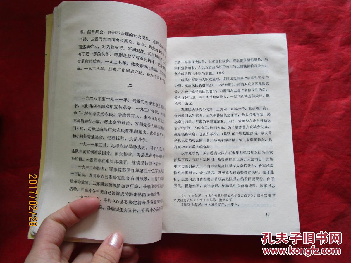 江淮英烈传.第一卷第一分册