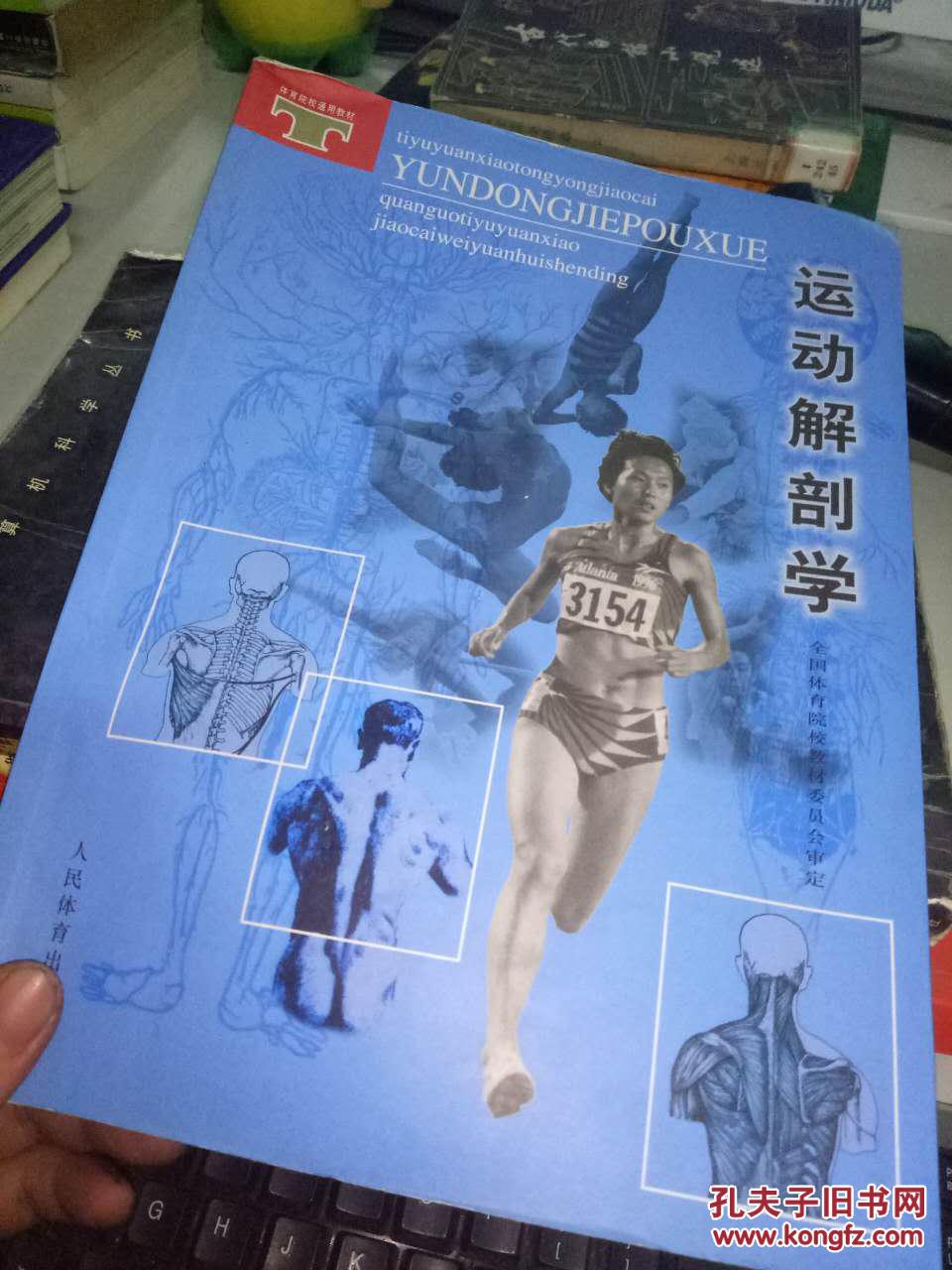 运动解剖学 胡声宇