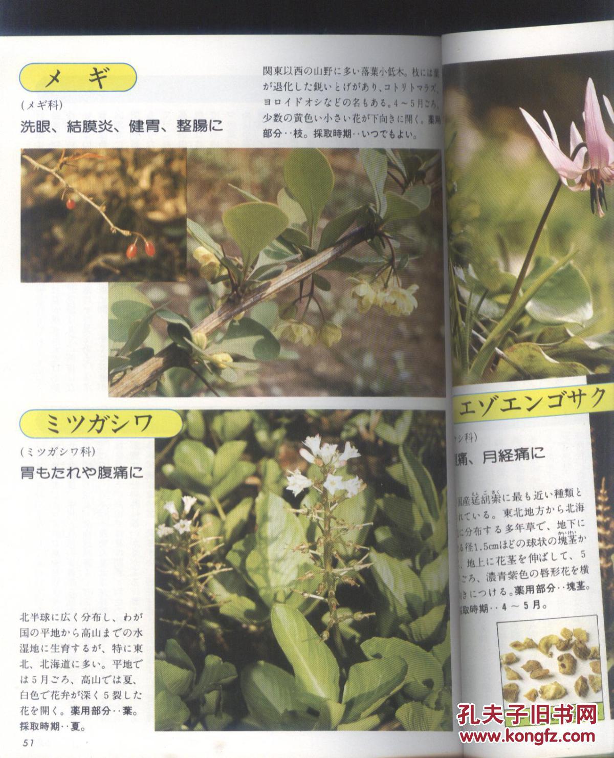 药草图鉴 疗效已确认的435种药草的写真 栽培法 采取法 日文原版 孔夫子旧书网