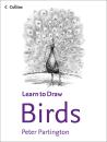 Collins Learn to Draw: Birds (Learn to Draw (Collins))